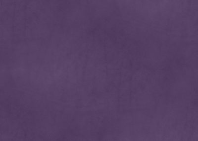 Lavender - 20829